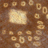 Open to an enlarged image
