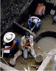 Archaeologists at work in Guatemala