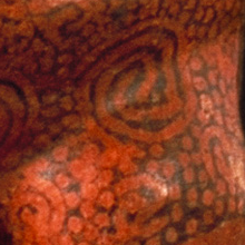 Detailed view of ceramic female figure