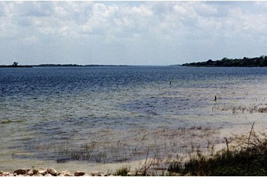 View of the ocean