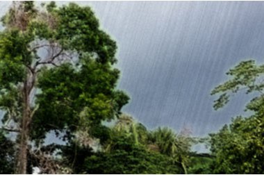 Rainfall