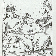 17th century illustration depicting the ritual sacrifice of a llama