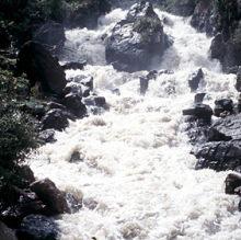 A torrent of water