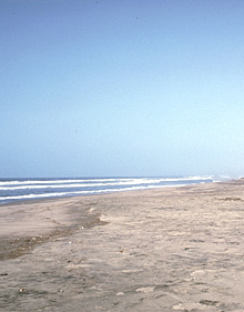 Pacific shores of Peru's northern coast