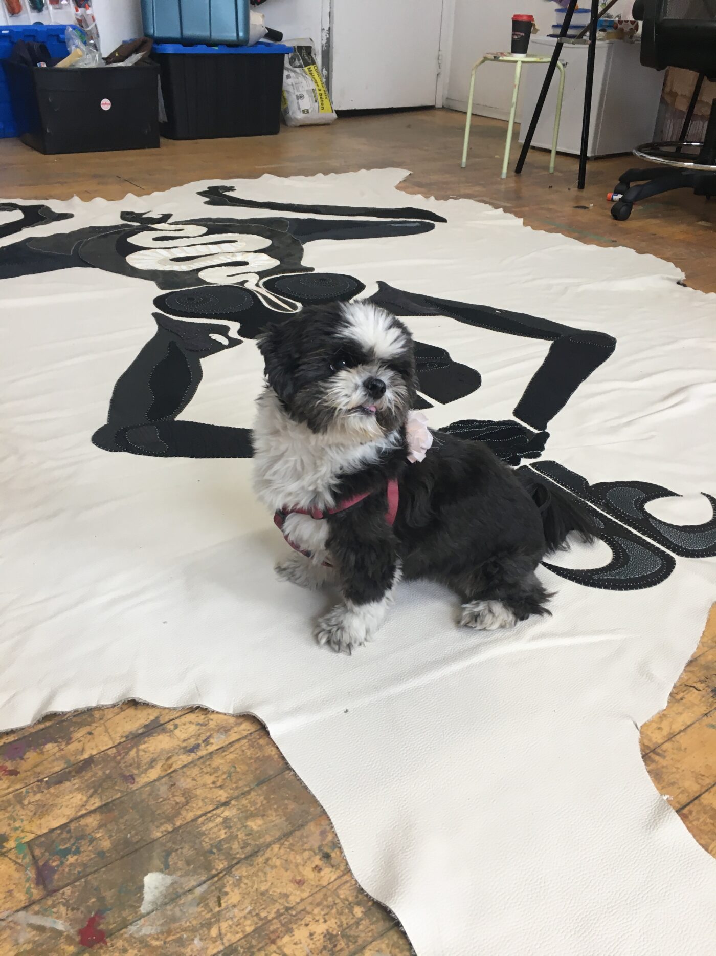 Image shows a small black and white dog sitting on top of a large painted textile which is displayed across a hardwood floor.